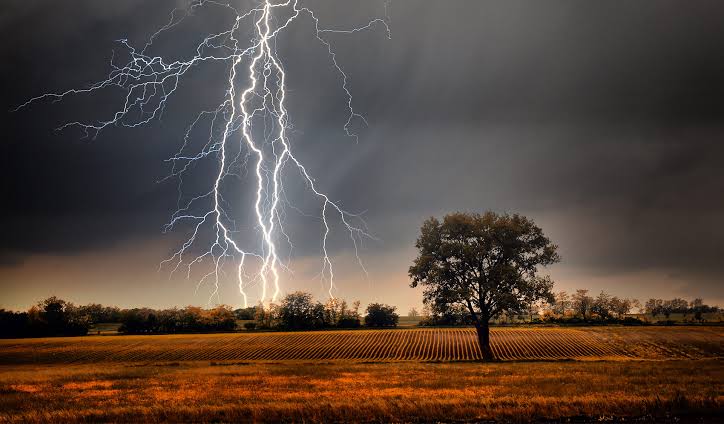 Lightning kills 14 in Bangladesh storms